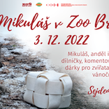 V Zoo Brno přivítáme Mikuláše hned dvakrát
